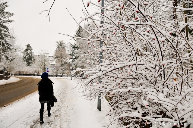 Snow, Sweden -  Winter Photography by Lola Akinmade