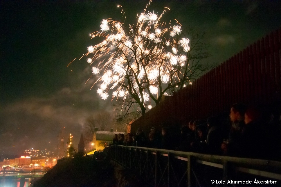 Fireworks on New Year's Eve in Stockholm Sweden - Night Photography by Lola Akinmade Åkerström