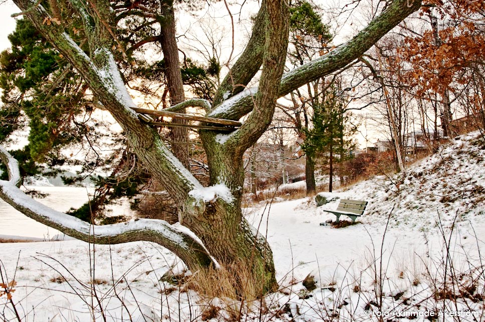 Winter Hibernation in Stockholm's Archipelago - Photography by Lola Akinmade Åkerström Winter Hibernation in Stockholm's Archipelago - Photography by Lola Akinmade Åkerström
